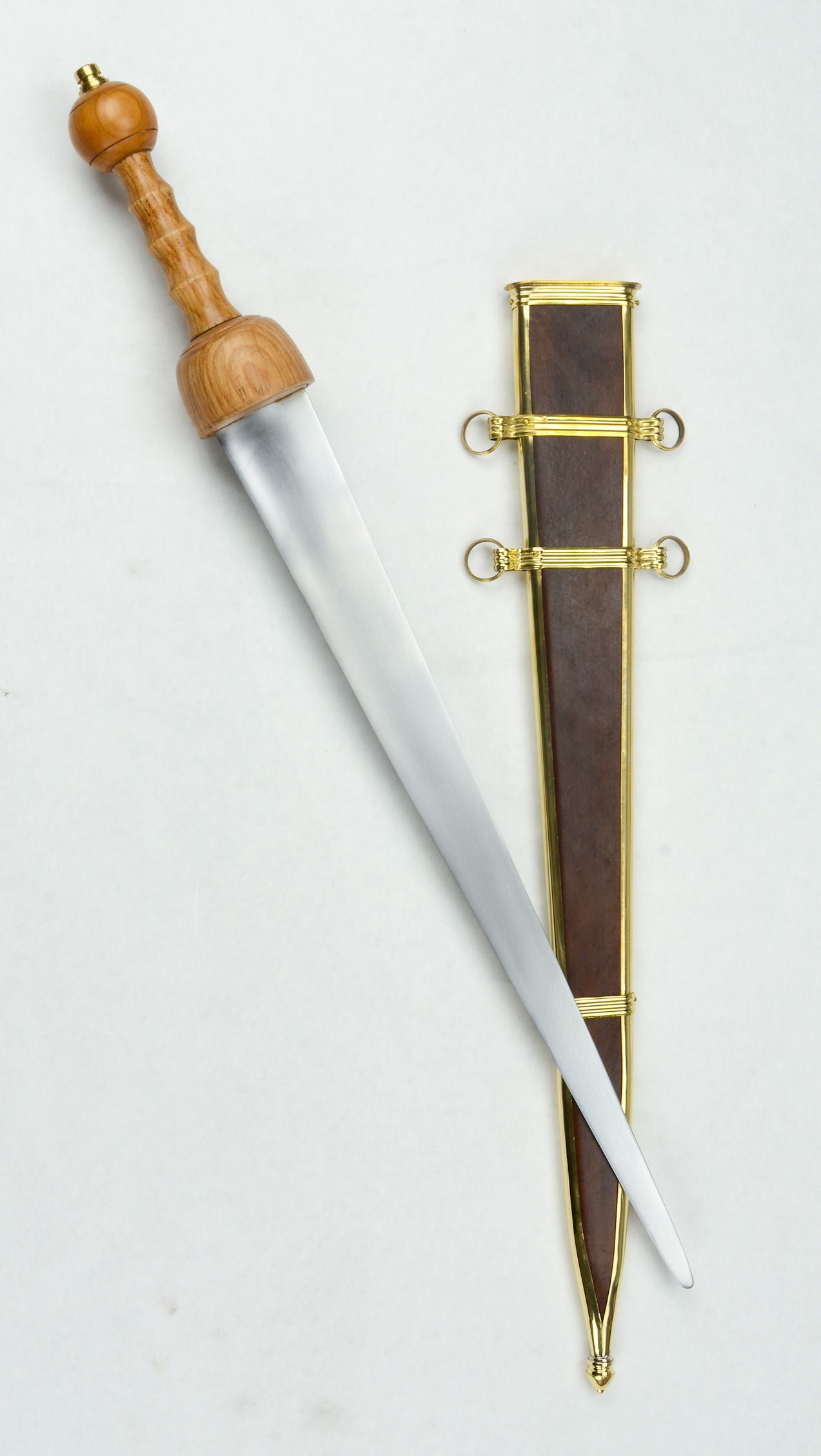 Single-Edged Gladius