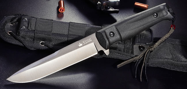 Alpha D2-Gray Titanium Knife