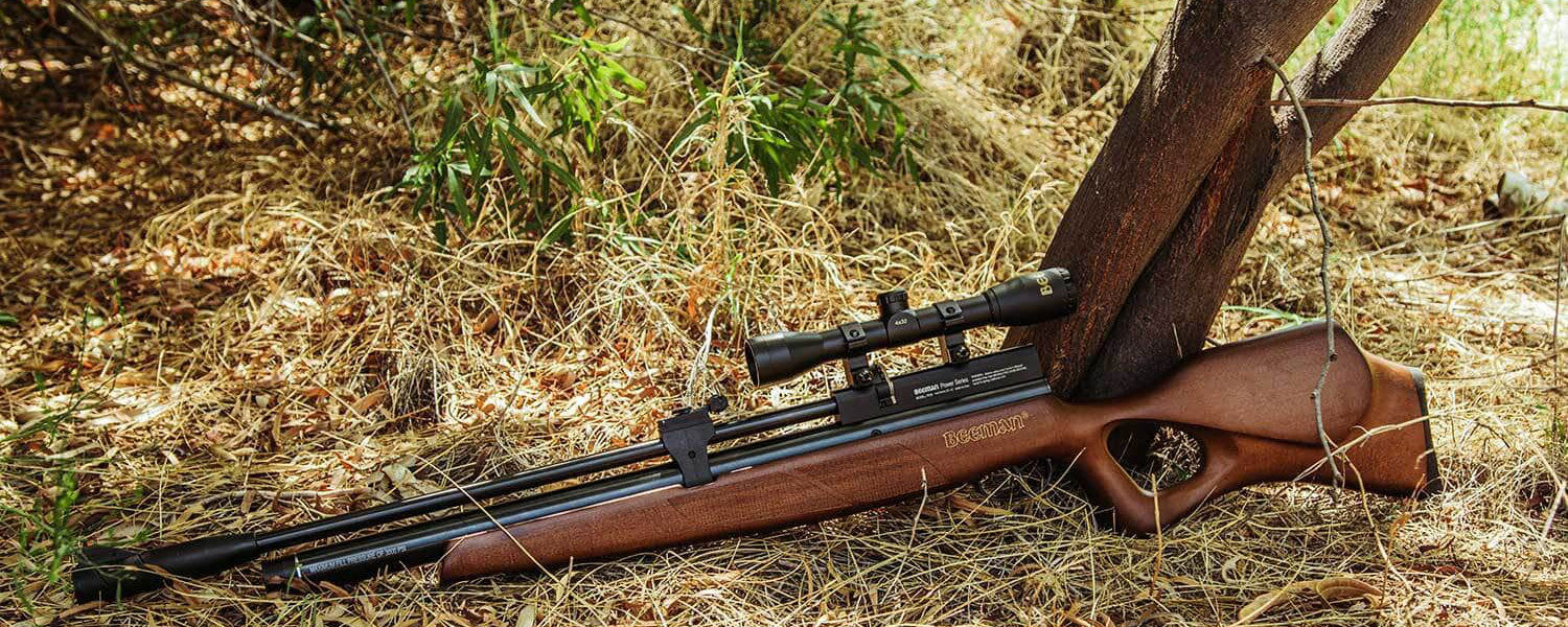 All About Air Gun Hunting | Armory Replica Guns & Other Weaponry ...