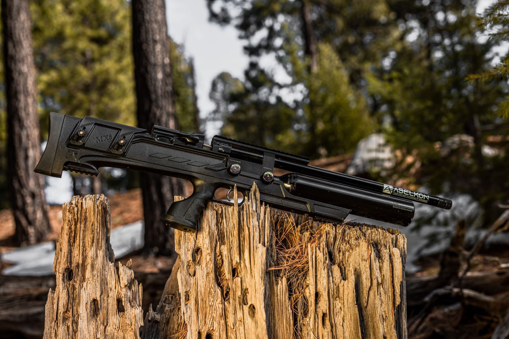 Pcb Rifle Answers on What PCP Air Rifles Are | Armory PCP Air Rifles – Armory.net