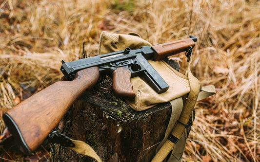 What Are the Laws for Replica Guns in Different U.S. States?