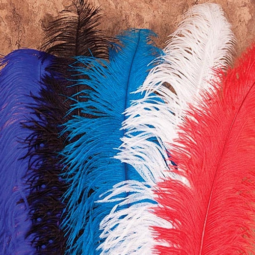 a cluster of colored feathers