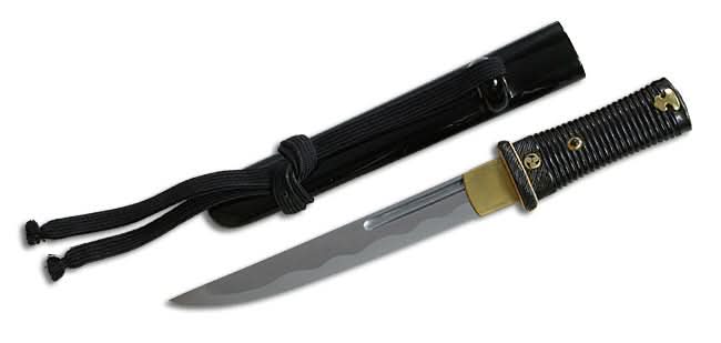 CAS Hanwei SH5022  Great Wave Tanto Knife by Paul Chen