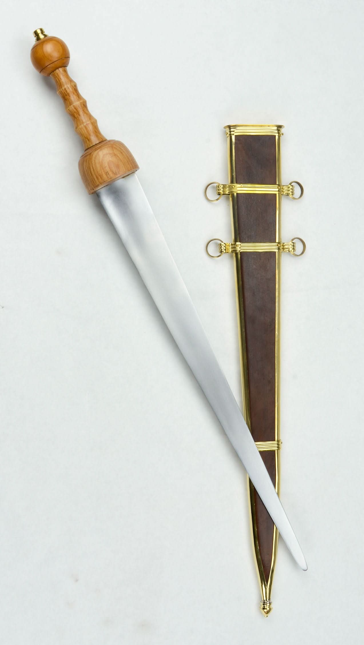 Single-Edged Gladius